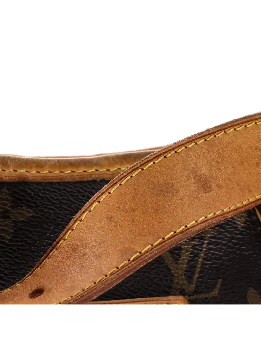 Louis Vuitton Galliera Handbag Canvas #303455L13B
